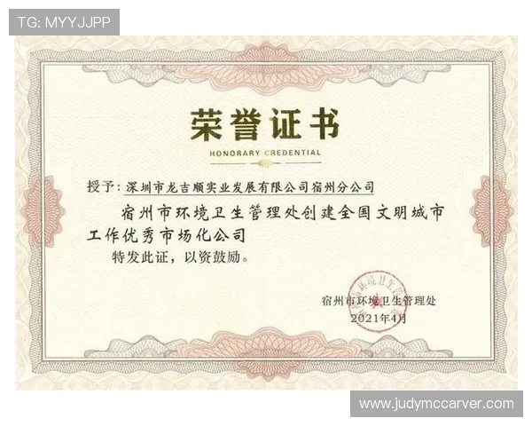 k8凯发中国天生赢家：分析平台的技术创新与未来发展方向，助力玩家把握先机